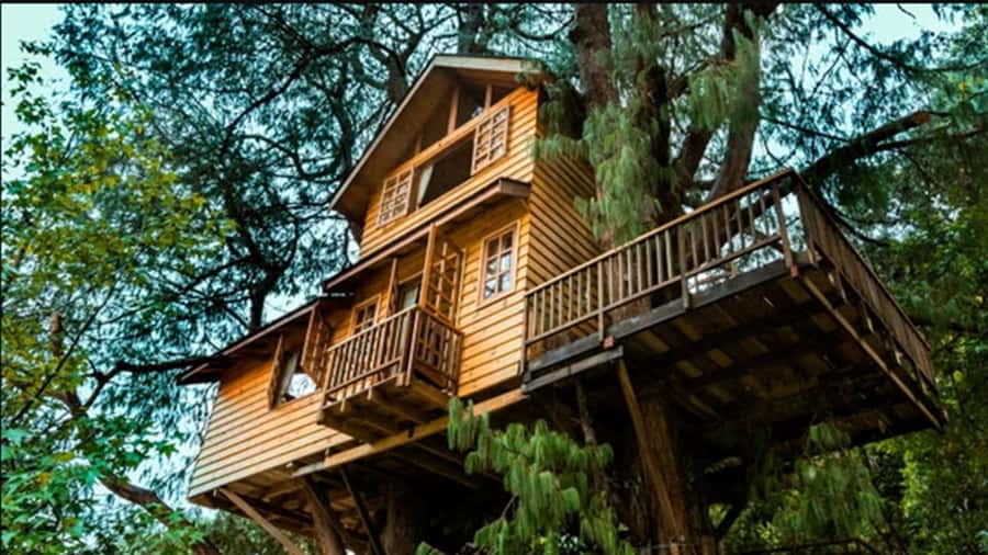 Campos do Jordão: Private 8 Hour Tour - Quick hits before you commit