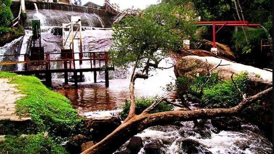 Campos do Jordão: Private 8 Hour Tour - Cacau Show chocolate shop: a big souvenir stop with a story