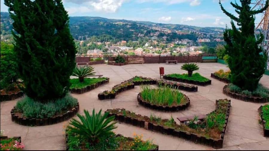 Campos do Jordão: Private 8 Hour Tour - Pico do Itapeva: views over the Paraíba Valley and a lavender walk