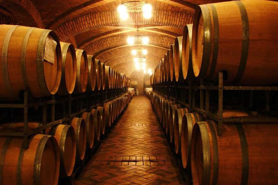 Canela/Gramado: South Wineries, Wine Train, & Italian Park - Key points to know before you go