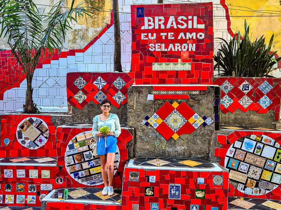 Christ the Redeemer and Escadaria Selarón Half-Day Tour - Key highlights to look for