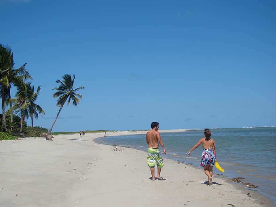 Colonial North Coast beaches - Full-Day Tour - Key Things That Make This Tour Worth Your Time