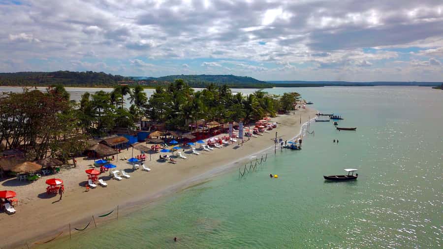 Colonial North Coast beaches - Full-Day Tour - Migratory Birds and Sandbars: What to Watch For