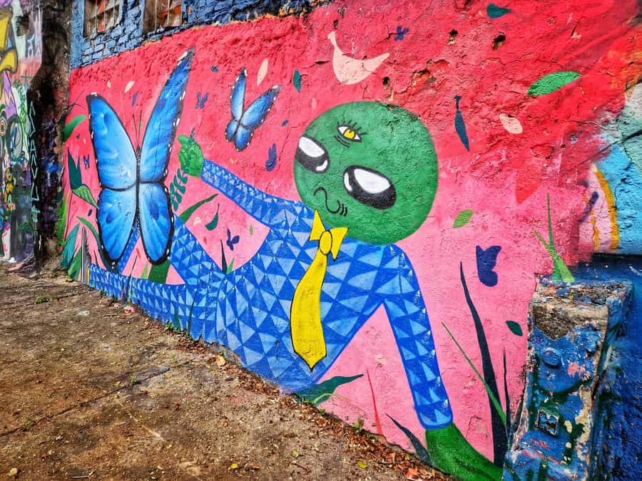 Companionship of a bilingual guide in São Paulo - Price and Value: $80 for 7 Hours of Real Help