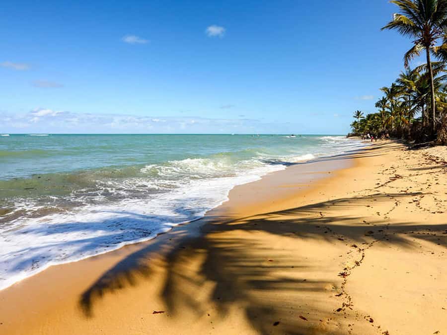 Cumbuco Adventure: Dune Rides, Lagoa do Catu & Coastal Views - Getting to Cumbuco from Fortaleza without stress