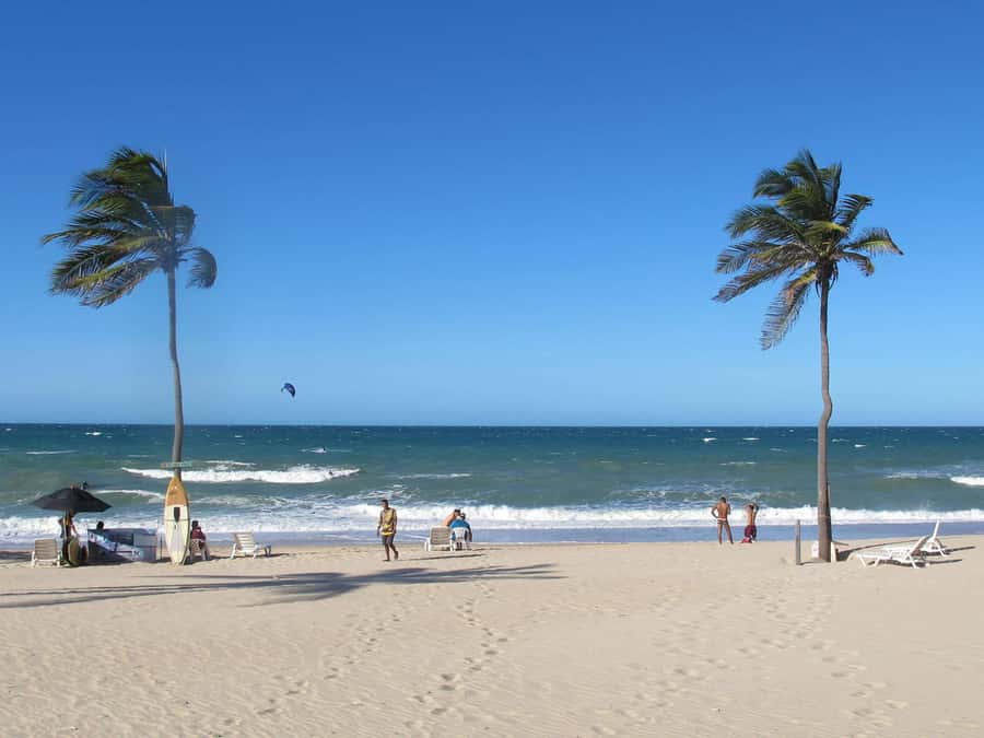 Cumbuco in 1 Day: Unforgettable Tour - Pickup and timing: the part that decides if you enjoy the day