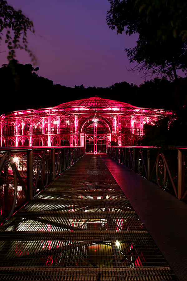 Curitiba: 4-Hour City-By-Night Tour with Dinner - Key things to know before you go