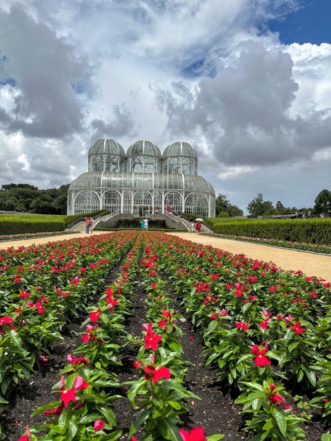 Curitiba: A Complete City Tour - Morning Pickup and the Botanical Garden’s Glasshouse Moment