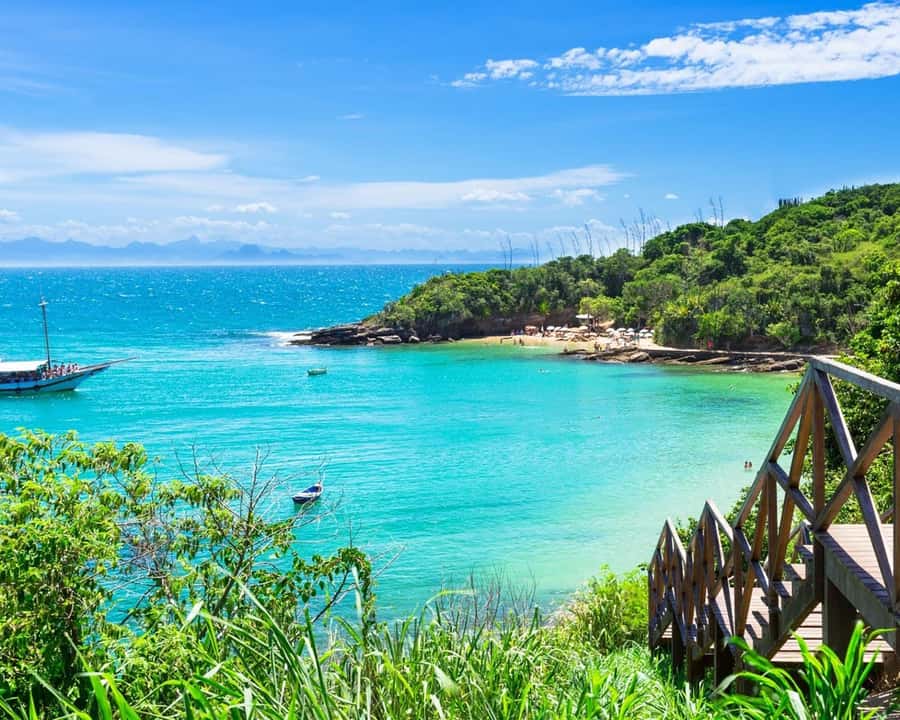 Discover Búzios Beaches and Boat Tours - Leaving from Búzios - Praia da Tartaruga: First Impressions and Water-First Views