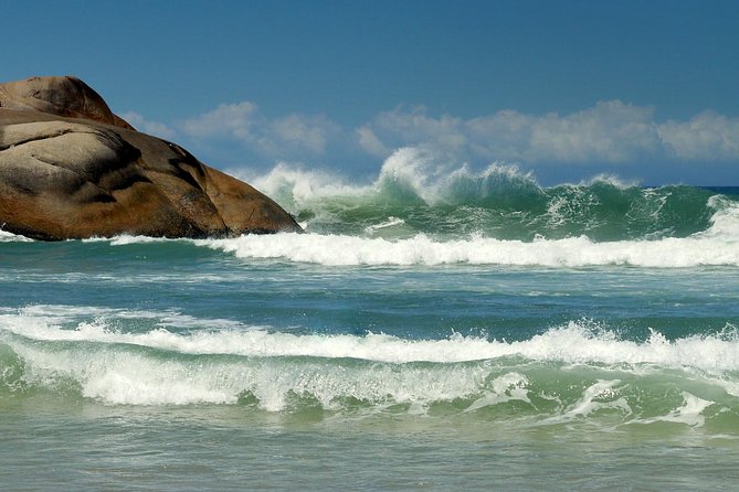 Discover Florianópolis: Full Day City Tour and Local Highlights - Joaquina Beach: surfing energy and competition waves