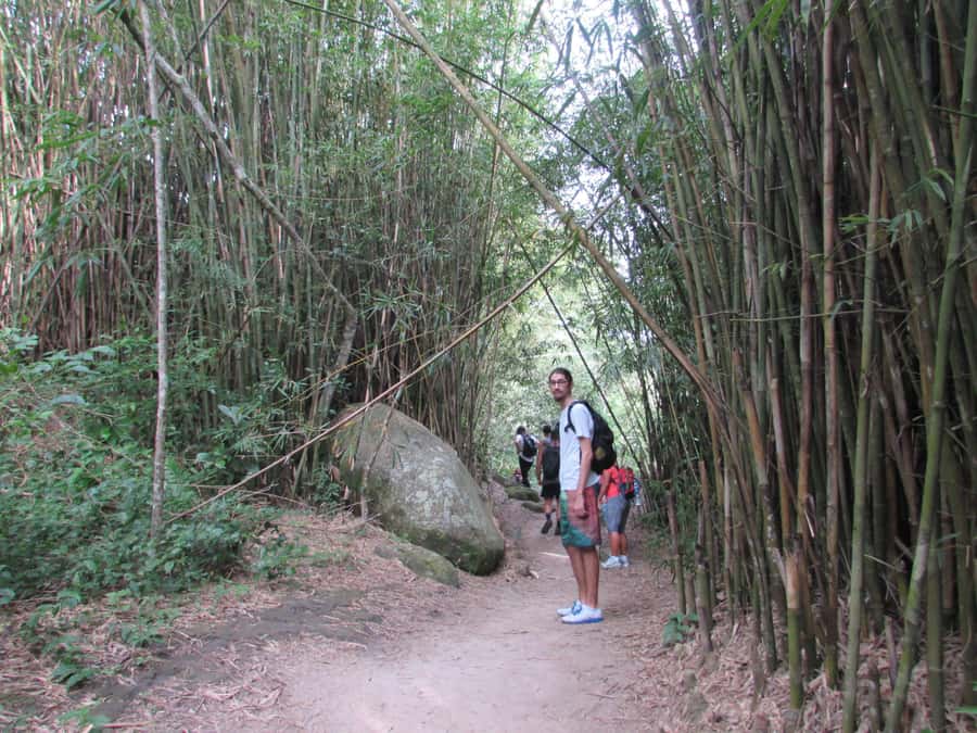Discover Pedra do Telégrafo: Scenic Hike with Expert Guide - Key things that make this hike worth your time