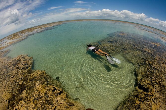 Discover Underwater Beauty: Explore Maracajaú's Parrachos Reef - Key highlights worth planning around