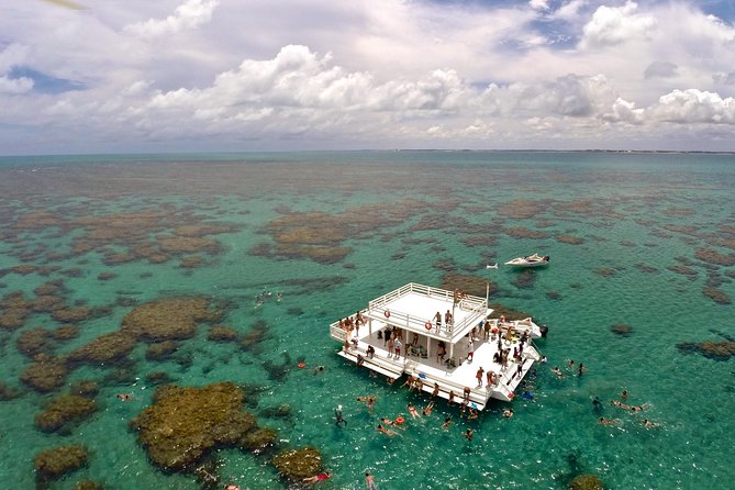 Discover Underwater Beauty: Explore Maracajaú's Parrachos Reef - Maracajaú and Parrachos: Why the Views Land So Well