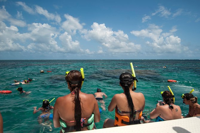 Discover Underwater Beauty: Explore Maracajaú's Parrachos Reef - Weather and Tide Reality: How to Avoid a Disappointing Day