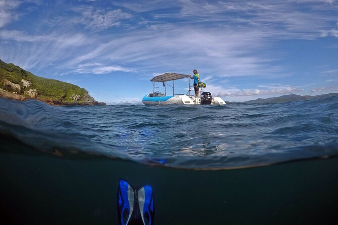 Diving with Turtles in Floripa - Key things to know before you go