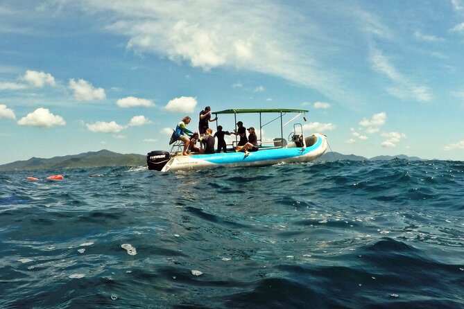 Diving with Turtles in Floripa - Snacks, timing, and why small groups feel better