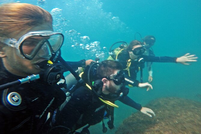 Diving with Turtles in Floripa - What’s included versus what costs extra