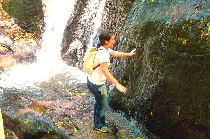 Ecological walk in sao paulo - Key things I’d circle before you go