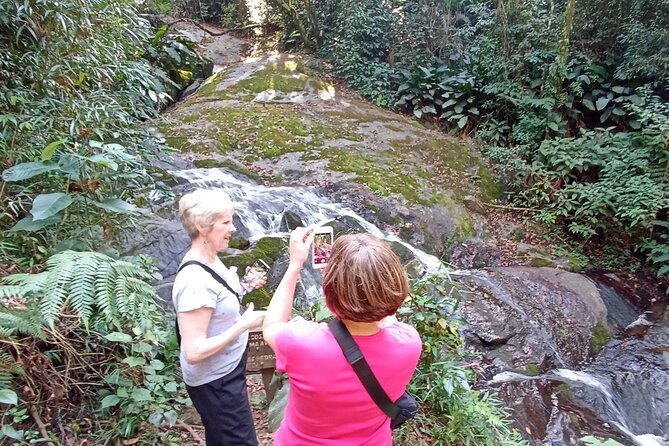 Ecological walk in sao paulo - Morning logistics: hotel pickup and a private, efficient start