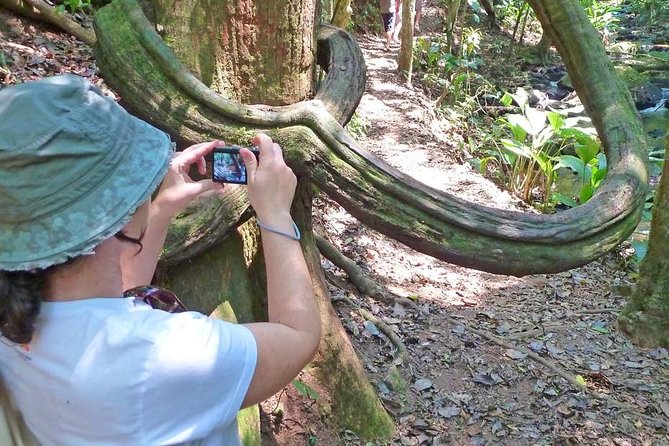 Ecological walk in sao paulo - Price and value: what $170 per person buys you in real terms
