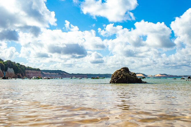 Excursion to Pipa in Rio Grande do Norte - Why Pipa Beach and Baía dos Golfinhos are worth the 8-hour trip