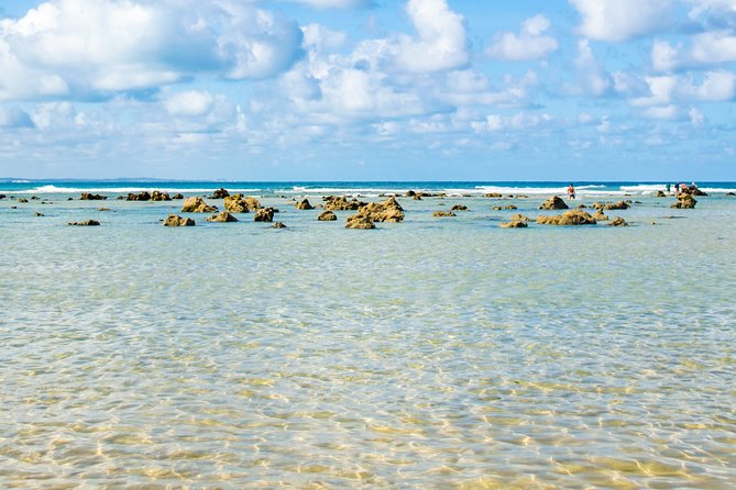 Excursion to Pipa in Rio Grande do Norte - Who this tour suits best (and who should think twice)
