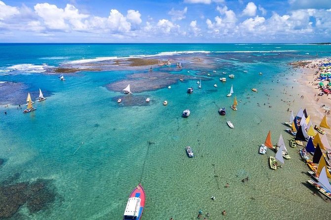 Excursion to Porto de Galinhas in Pernambuco - Key highlights you will feel on day one