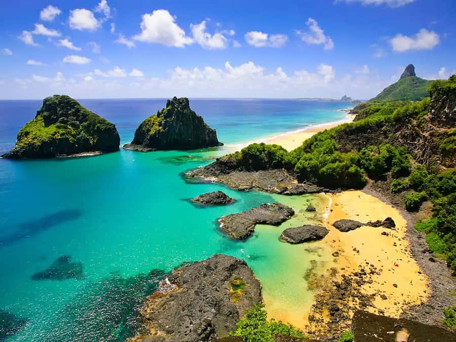 Fernando de Noronha: 7-Hour Island Adventure - Praia do Leão: Classic Noronha Beach Time