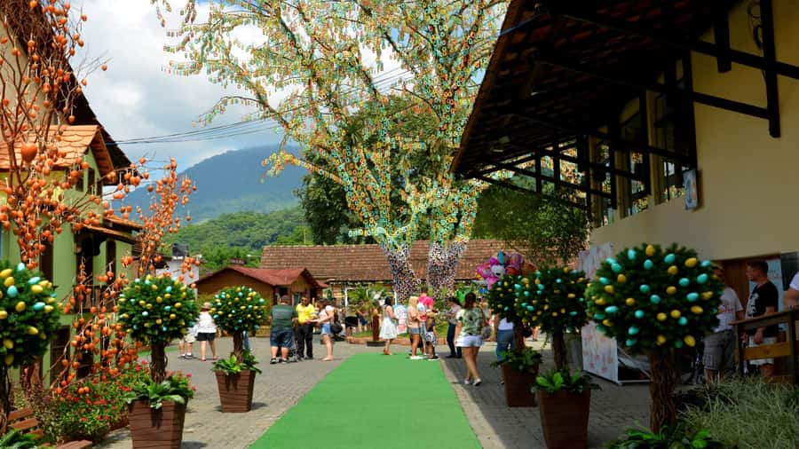 Florianópolis: Blumenau and Pomerode Germanic Route Day Trip - Blumenau stops: beer museum, old railway, and Catedral Metropolitana
