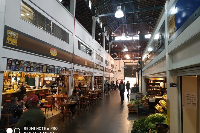 Florianópolis city tour (full day) - Morro da Cruz and the historic center views you can plan around