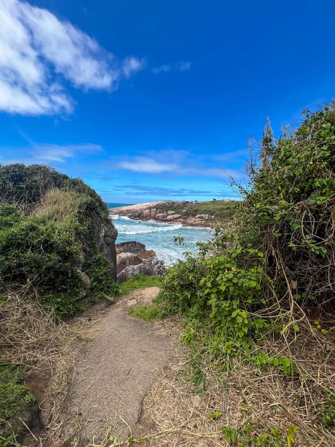 Florianopolis: Gravata Beach Trail with Picnic - Enter the Atlantic Forest Trail Toward Gravata Beach