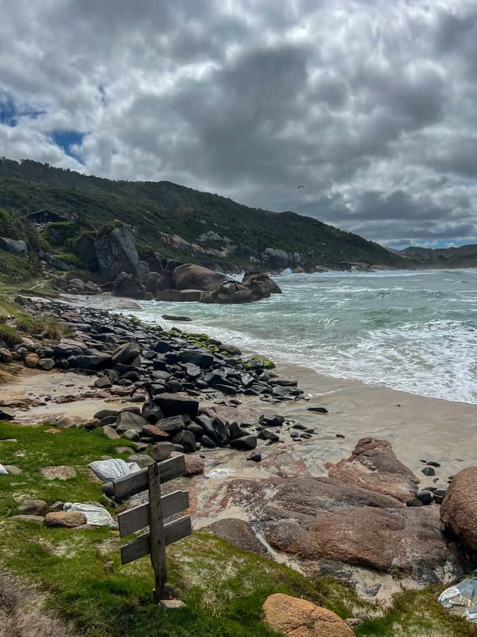 Florianopolis: Gravata Beach Trail with Picnic - Wildlife Spotting You Can Actually Enjoy (With the Right Attitude)