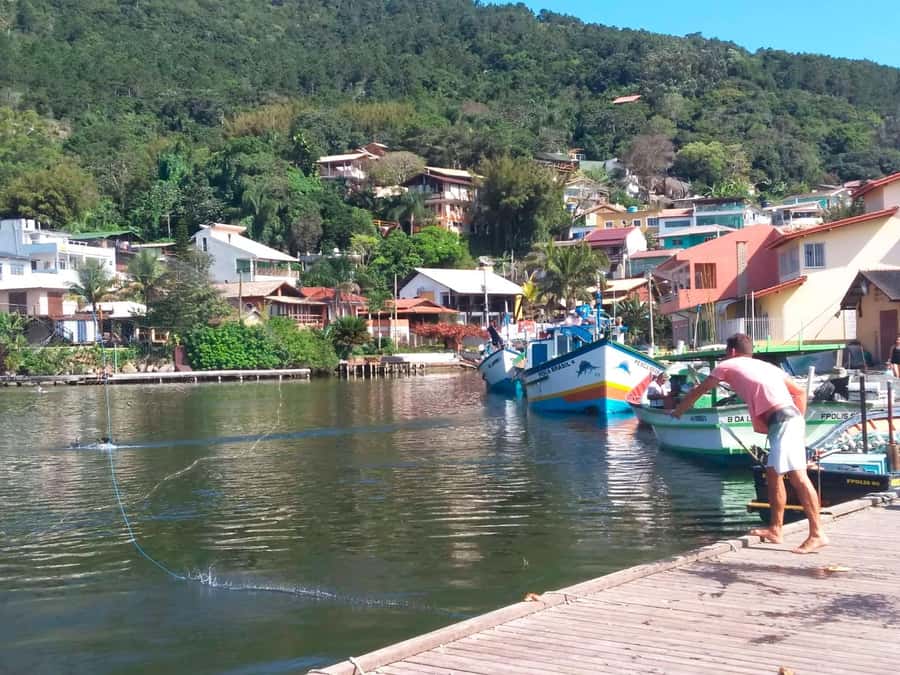 Florianópolis: Historical Center, Beach & Nature Tour - Praça XV, the Metropolitan Cathedral, and the Public Market
