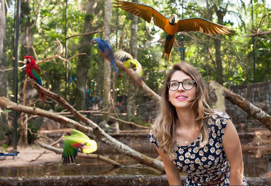 Foz do Iguaçu: Bird Park Tour with Tickets - The Restaurant Stop and Flamingo Lake Views