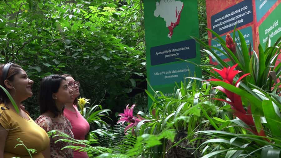 Foz do Iguaçu: Bird Park Tour with Tickets - Price and Value: Is $54 Worth It?