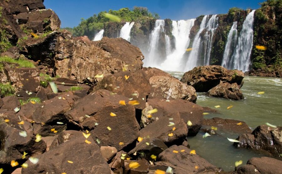 Foz do Iguaçu: Brazilian Side of the Falls - Language and Guide Quality: What to Confirm Before You Go