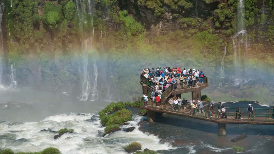 Foz do Iguaçu: Brazilian Side of the Falls + Bird Park - Bird Park Part: Walking Trails and a Big Mix of Species