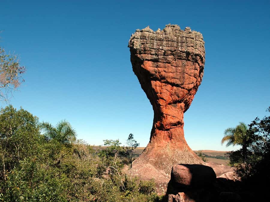 From Curitiba: Vila Velha State Park Full-Day Group Tour - Who should book this tour?