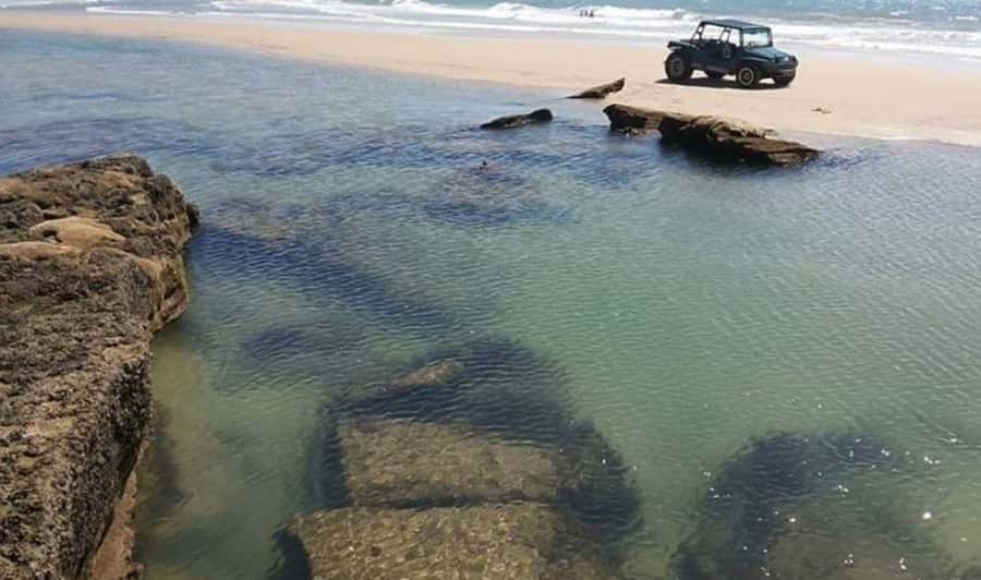 From Fortaleza: Águas Belas Beach Day Trip - What you do all day: trails, dunes, cliffs, and lagoon time