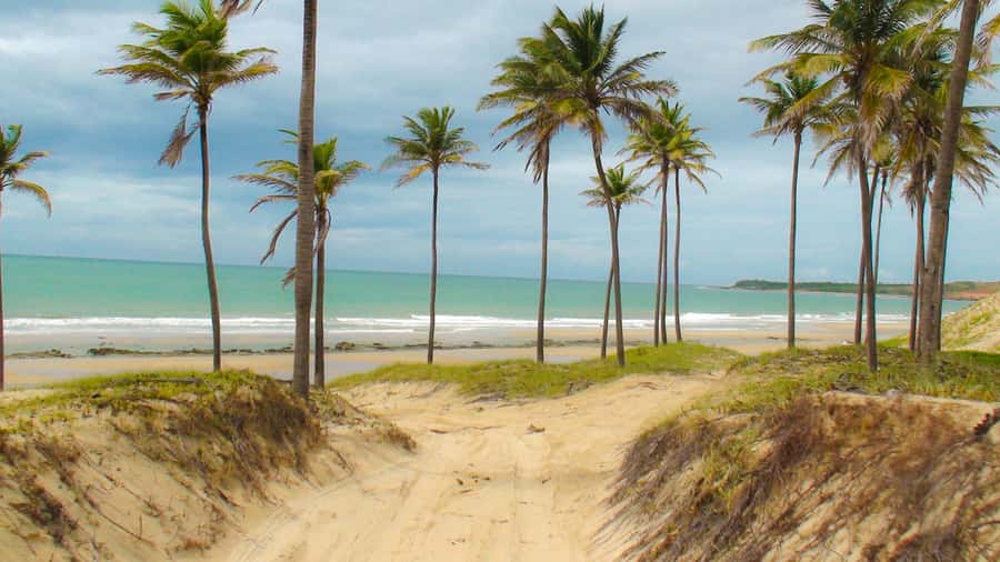 From Fortaleza: Lagoinha Beach Day Trip - Key Highlights