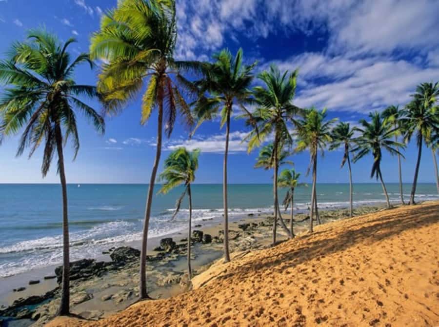 From Fortaleza: Lagoinha Beach Day Trip - Fortaleza Pickup to Lagoinha: The 11-Hour Rhythm You’re Signing Up For
