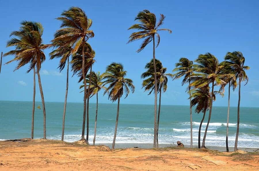 From Fortaleza: Lagoinha Beach Day Trip - What You Actually Need for a Beach Day: Bring the Essentials