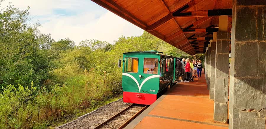 From Foz do Iguaçu: Argentinian Iguazu Falls with Boat Ride - The Puerto Macuco jungle descent that sets the pace
