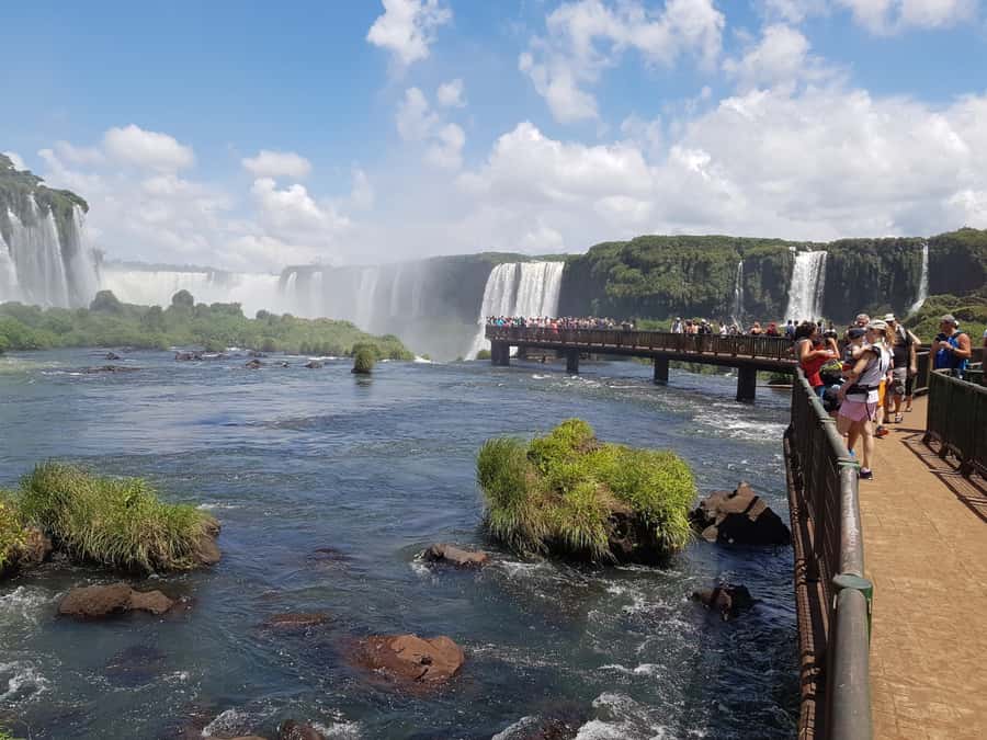 From Foz do Iguaçu: Brazilian Falls and Bird Park Tour - Key highlights to look for