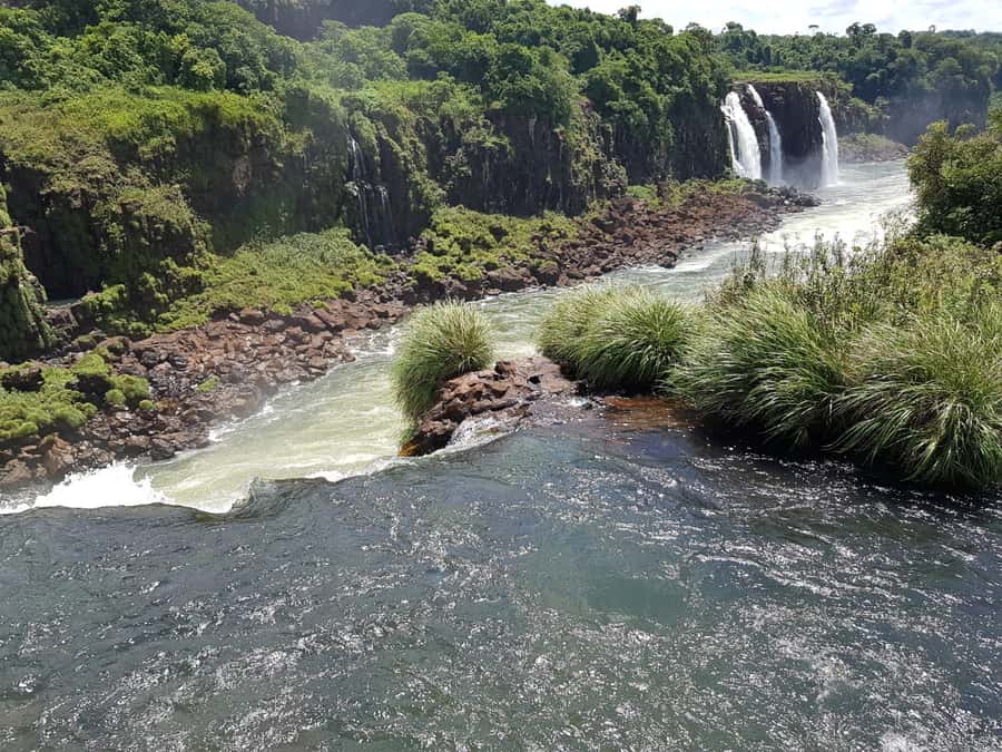 From Foz do Iguaçu: Brazilian Falls and Bird Park Tour - Who should book this tour