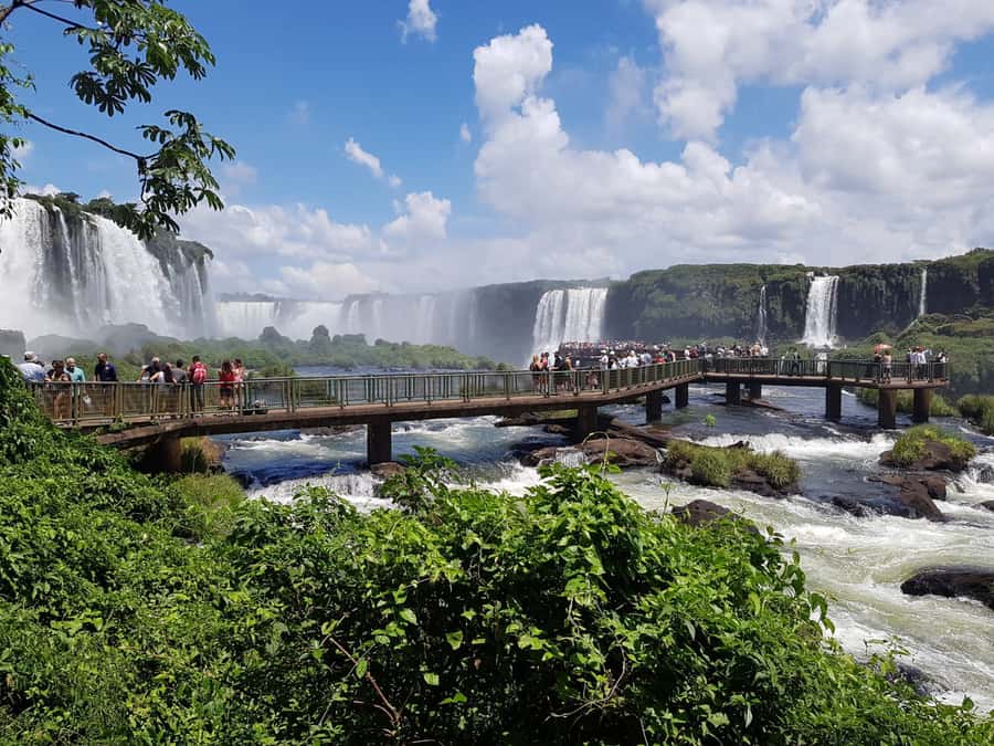 From Foz do Iguaçu: Brazilian Falls and Bird Park Tour - Why this Bird Park plus Brazilian Falls day makes sense