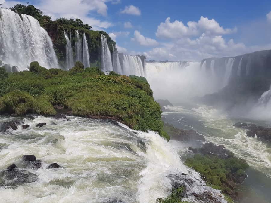 From Foz do Iguaçu: Brazilian Falls and Bird Park Tour - The 11 km jungle drive into Iguaçu National Park