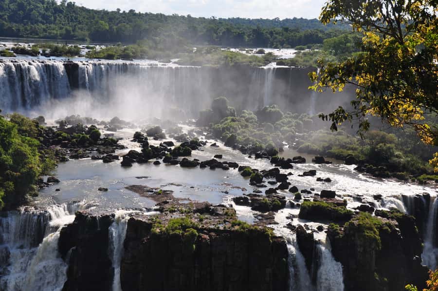From Foz do Iguaçu: Brazilian Falls and Bird Park Tour - Bird Park: Atlantic Forest birds in a habitat that feels like home