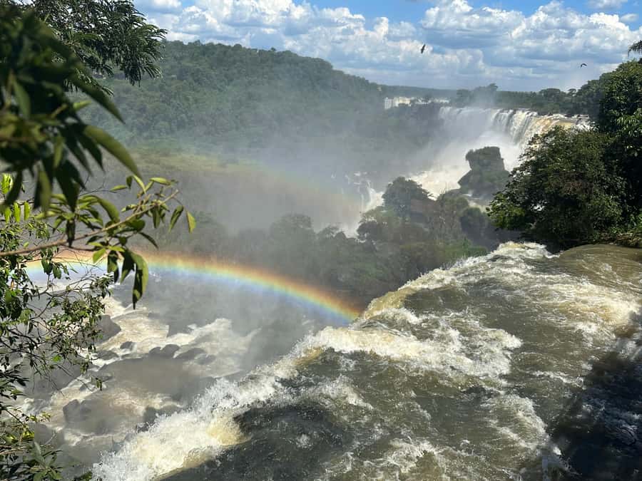 from Foz do Iguaçu: Private Tour on Argentinean Falls - Lower Circuit: The Mist-and-Roar Route That Hits First