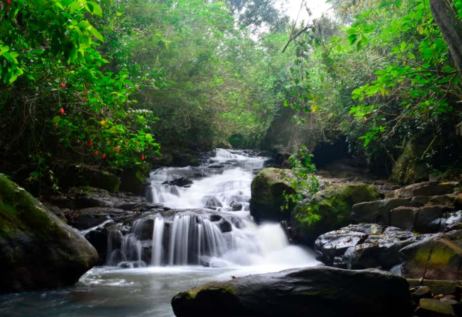 From Foz do Iguaçu: Secret Falls Adventure - Key highlights you’ll care about
